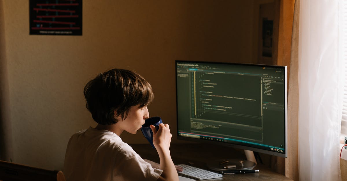 Visa Waiver Program and working within the US [duplicate] - Boy in White T-shirt Sitting on Chair in Front of Computer