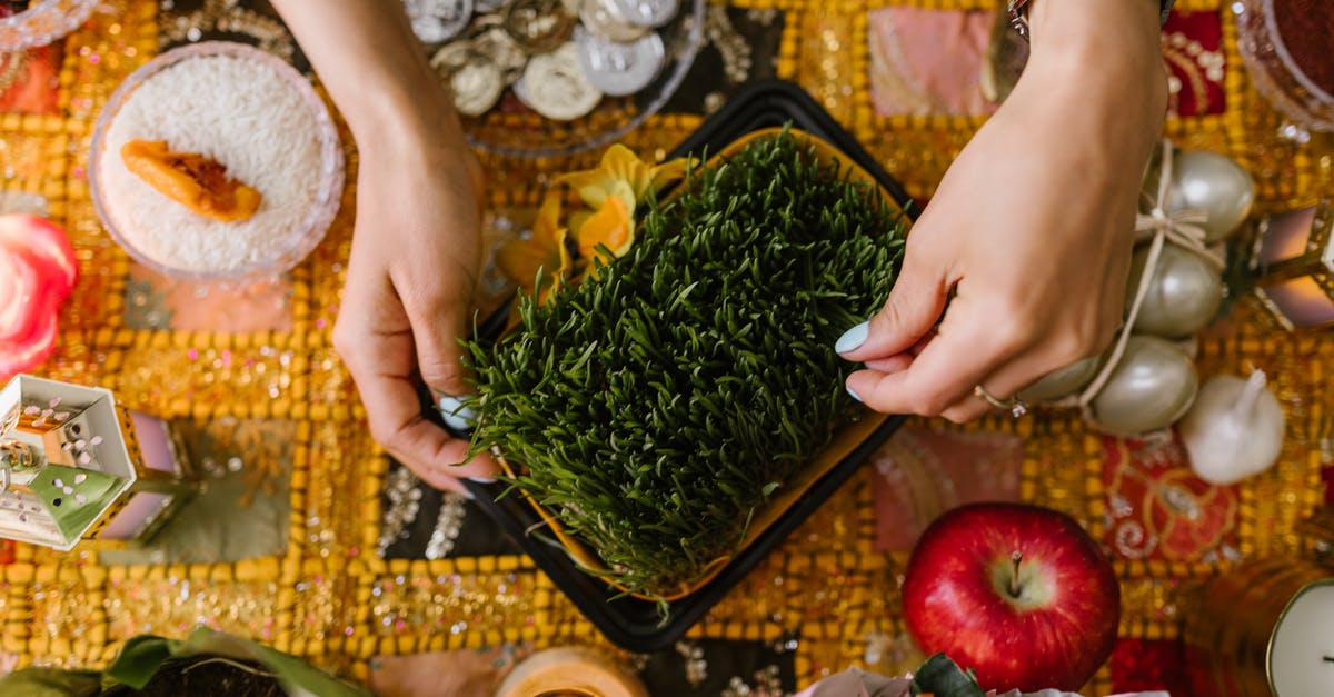 Visiting Azerbaijan during Nowruz / Novruz: what's different? - Person Holding A Tray Of Sprouting Wheat