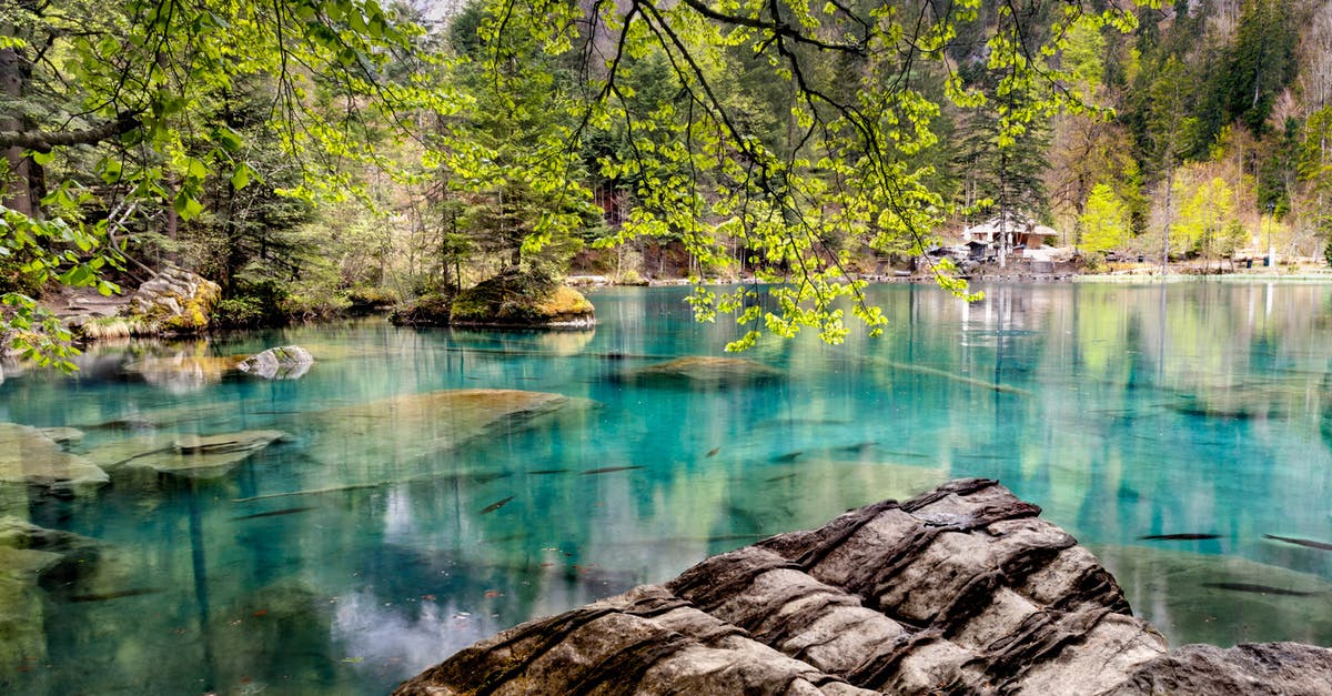 Visiting CERN in Switzerland - Photo of Lake During Daytime