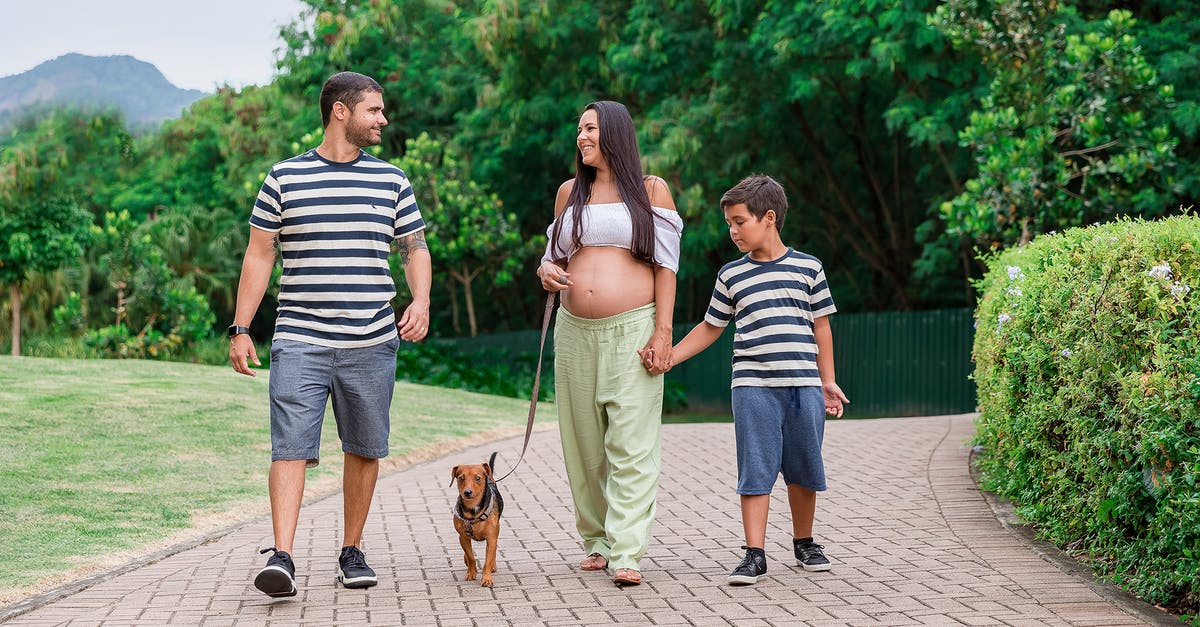 Visiting countries during pregnancy - Family Walking with a Dog