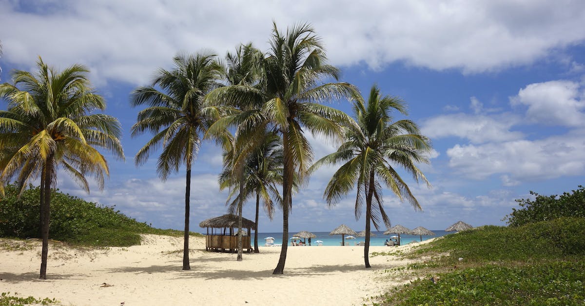 Visiting islands around Cuba - Palm Trees on Beach