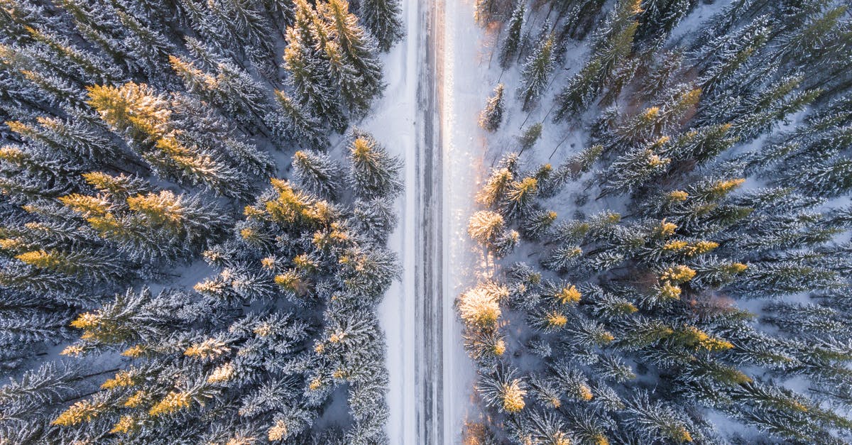 Visiting London in December - what is the weather like and where can I feel the Christmas spirit? - Aerial Photography of Road in Forest