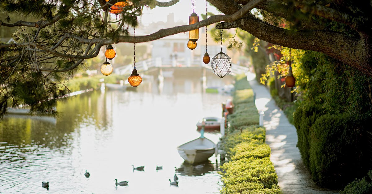 Visiting Los Angeles Culvert - Brown Pendant Lamp Hanging on Tree Near River