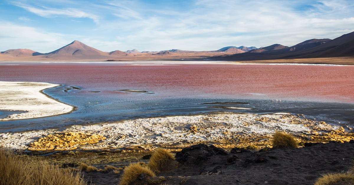 Visiting salt flats in Bolivia from Chile - The Red Water of the Laguna Colorada