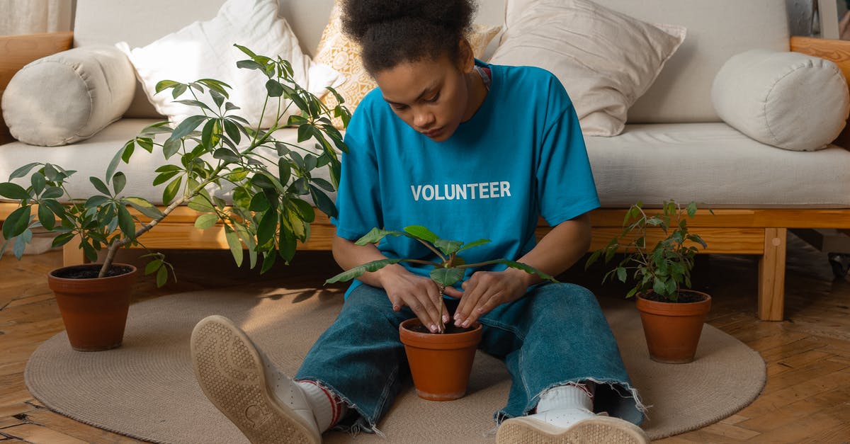 Volunteer opportunities in Boston for practicing English? - Woman in Blue Crew Neck T-shirt and Blue Denim Jeans Sitting on Brown Sofa