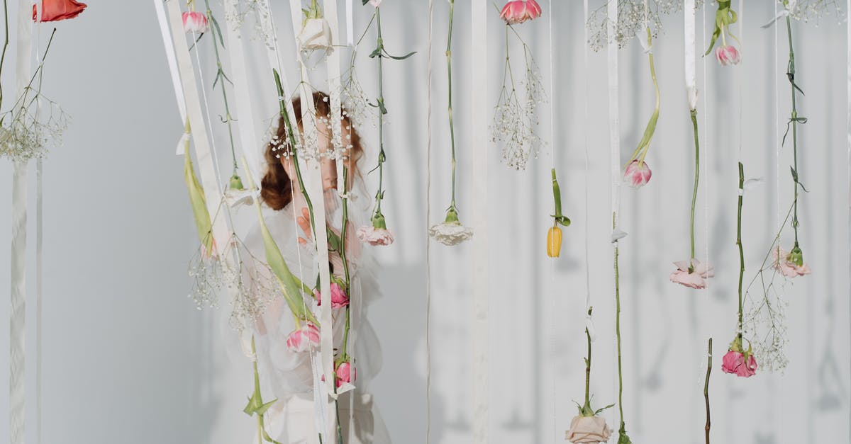 Walking tours in Holland - White and Red Flowers on White Wall