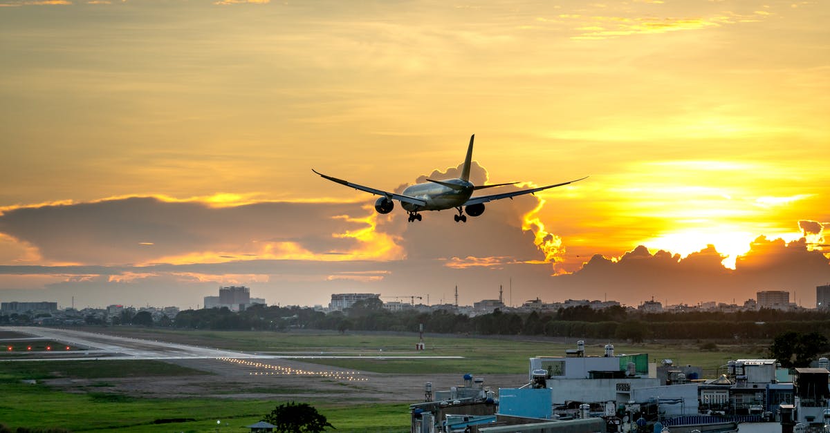 Ward off bedbugs on airplane - White Passenger Plane on Air during Sunset