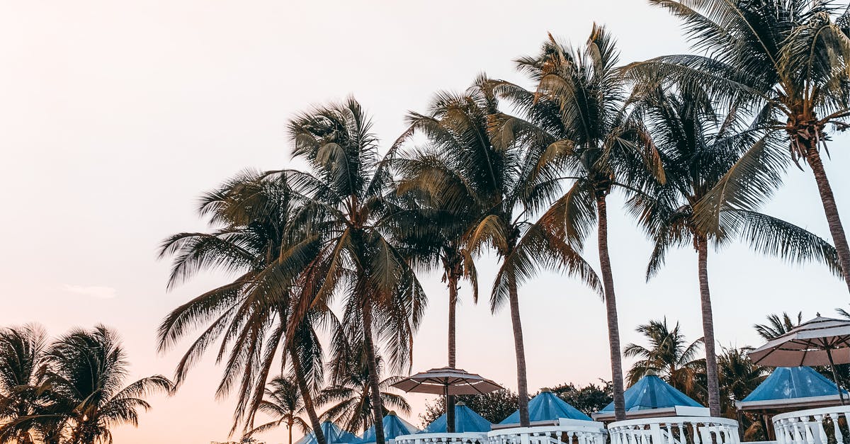 Warning: free hotel wifi is a hacker’s dream (alleged) - Picturesque scenery of tropical resort with cozy blue umbrellas on outside terrace amidst exotic palms during picturesque sunset