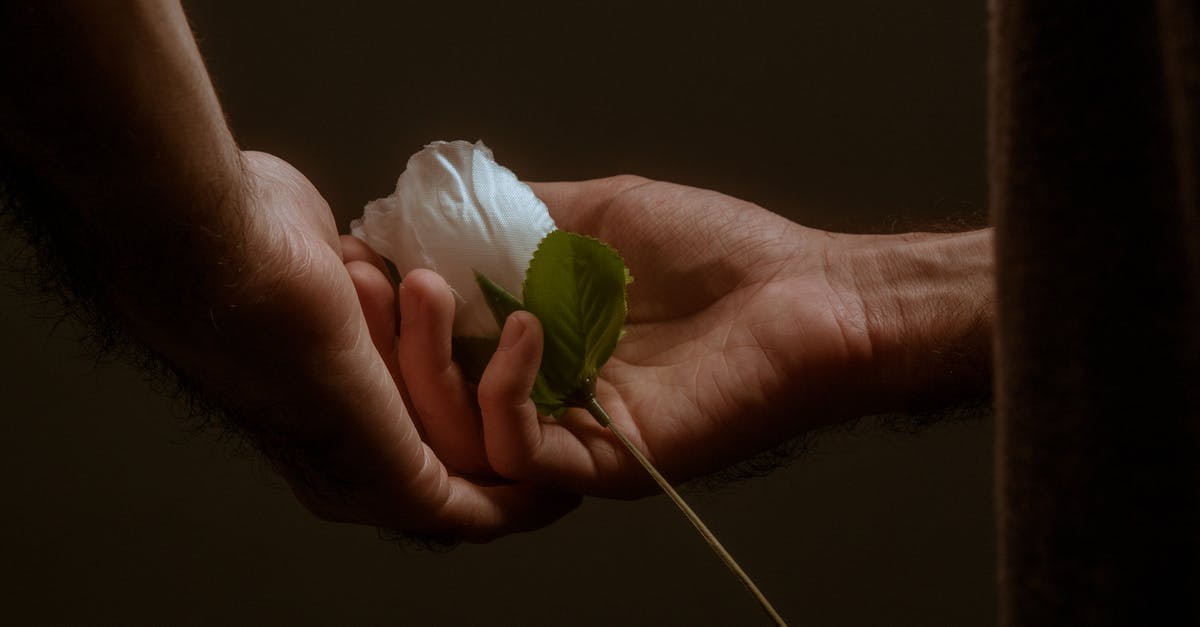 We are on WHV, my boyfriend was in a small collision, we are leaving in 2 weeks what happens if we don’t pay the damages? - Person Holding White and Green Flower We are on WHV, my boyfriend was in a small collision, we are leaving in 2 weeks what happens if we don’t pay the damages? - Person Holding White and Green Flower