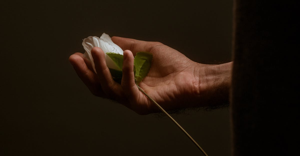 We are on WHV, my boyfriend was in a small collision, we are leaving in 2 weeks what happens if we don’t pay the damages? - Person Holding White Paper With Green Leaves We are on WHV, my boyfriend was in a small collision, we are leaving in 2 weeks what happens if we don’t pay the damages? - Person Holding White Paper With Green Leaves