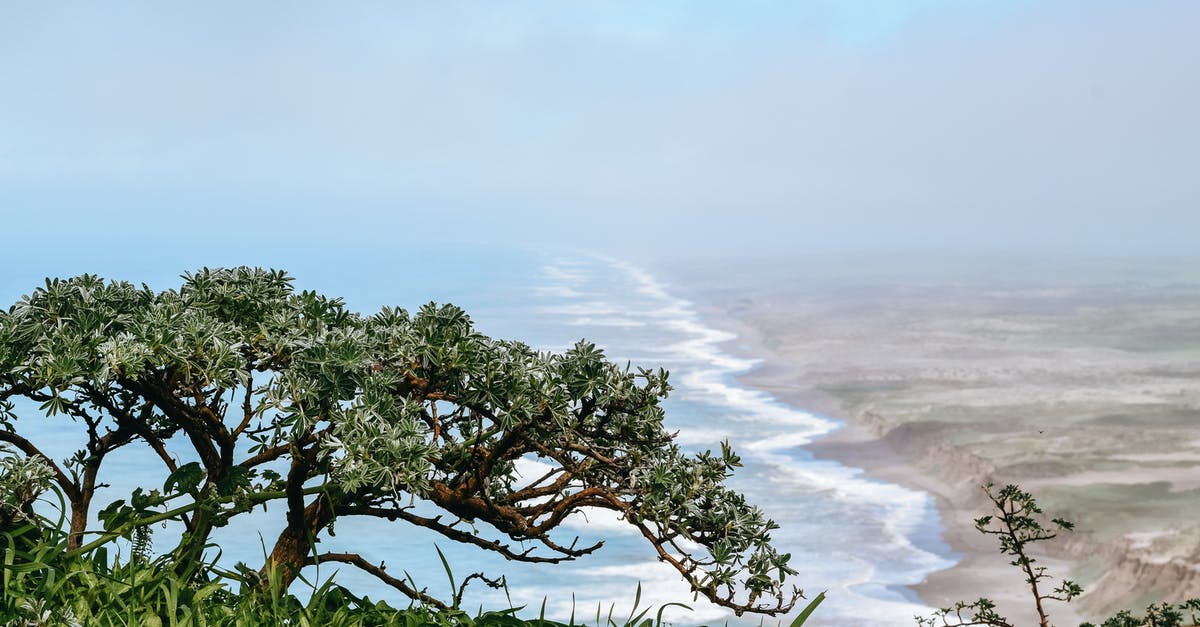 Weather in Belgium at the end of October - Tropical coast of endless ocean