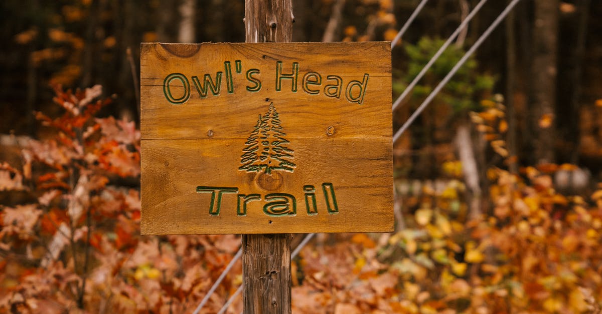 Weather in Belgium at the end of October - Signboard in autumn forest in daytime