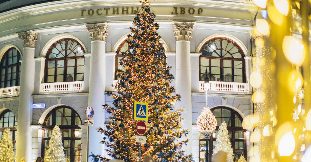 Website to identify low season for hotels - Low angle of decorated Christmas tree with blue and golden toys and glowing lamps on street against exterior of old building in evening city