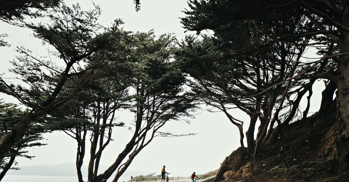 What's a safe route to ride through Mexico by bicycle? [closed] - People riding bicycles along pathway near seaside