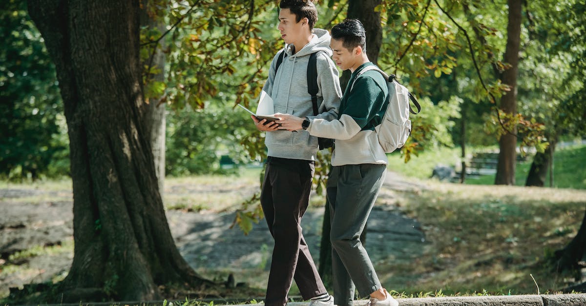 What's the best way to learn differences in laws between countries? - Side view of young stylish diverse male friends in casual outfits and backpacks walking together in path in park and preparing for exam