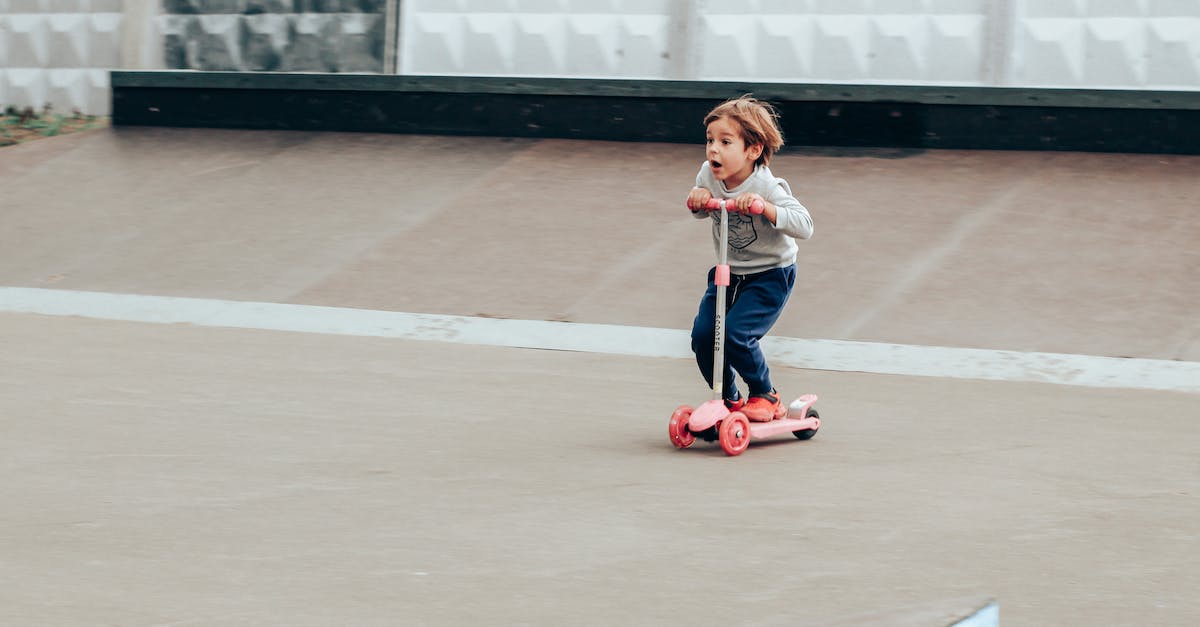 What's the best way to learn differences in laws between countries? - Amazed little boy riding kickboard scooter in skate park