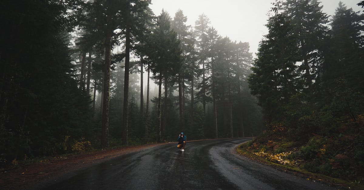 What's the best way to take a cold shower? - Unrecognizable traveler taking photo of empty asphalt road going through coniferous forest on rainy day