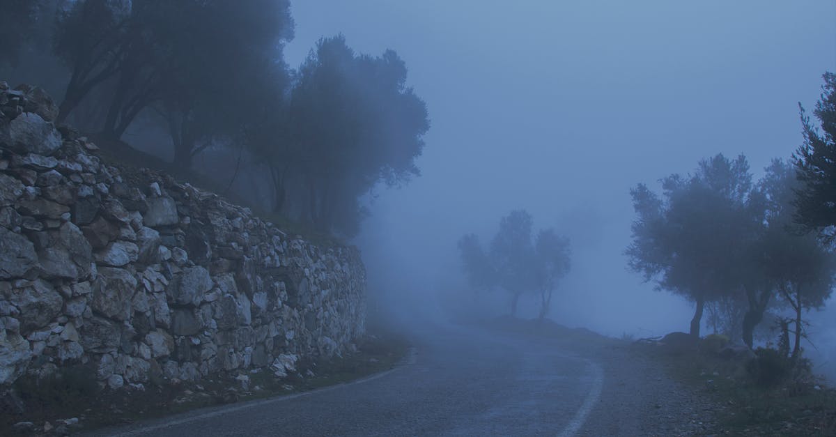 What's the best way to take a cold shower? - Road Between Trees and a Cliff Covered With Fog