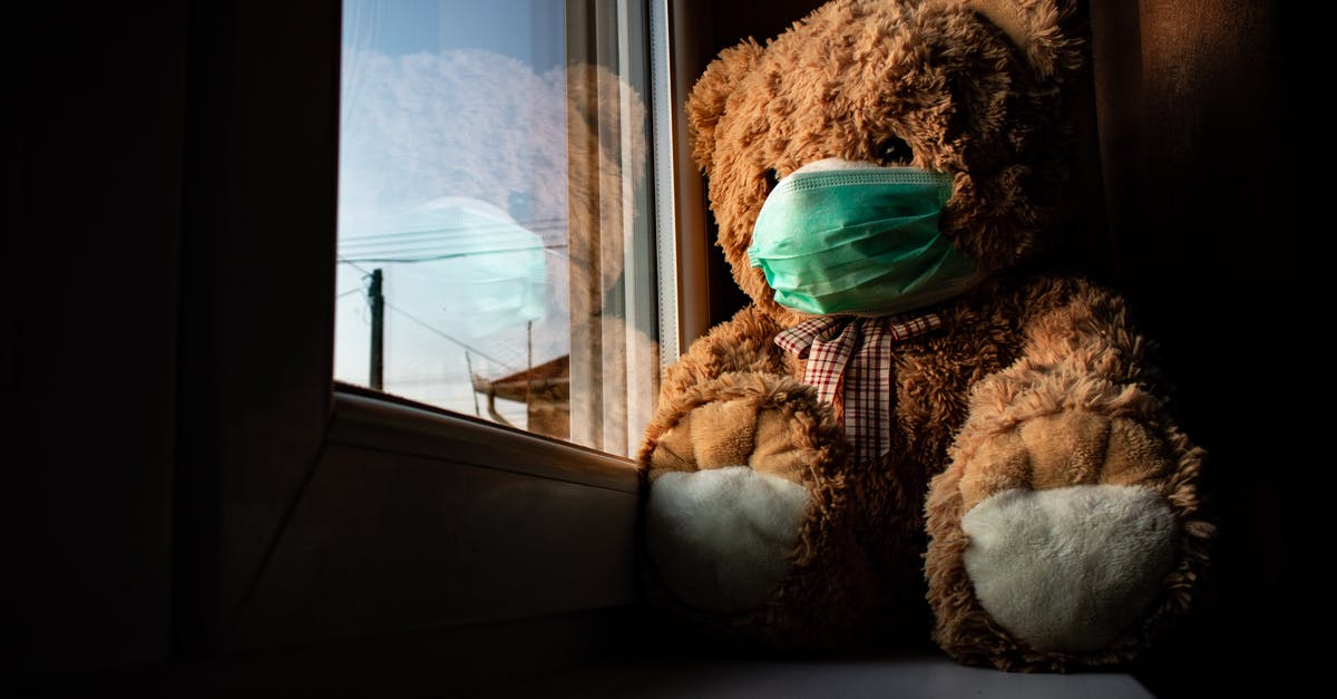 What's the longest covid-19 quarantine? - Brown Teddy Bear with Green Face Mask Sitting near the Window
