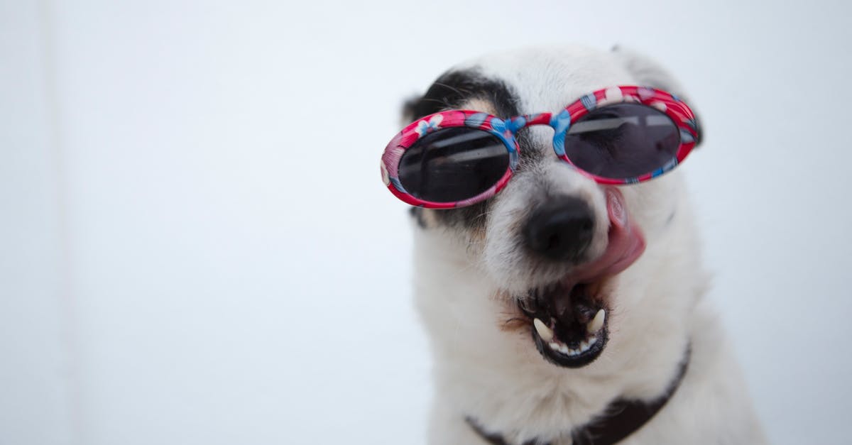 What's Trenitalia's best class? - Close-Up Photo of Dog Wearing Sunglasses