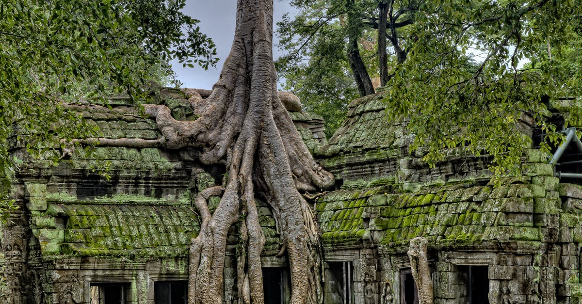 What and where is this old-looking stone building? - Building With Tree