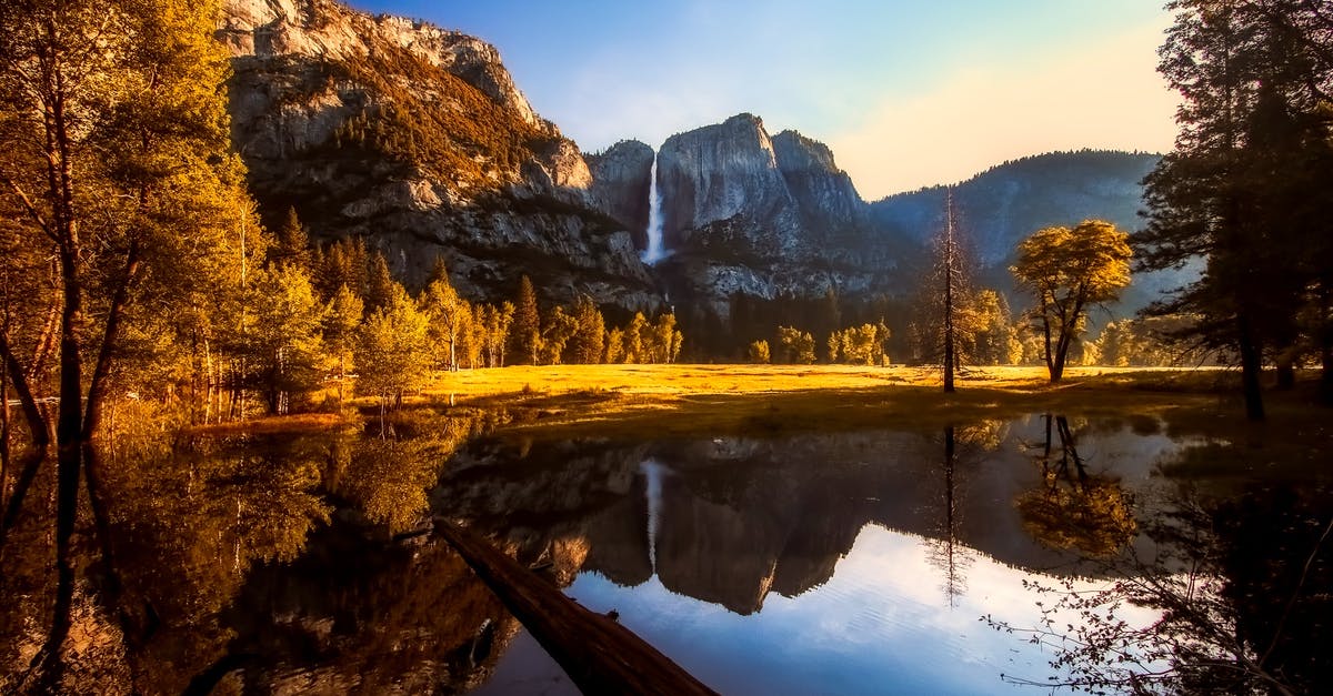What are good alternative hotel locations in Yosemite National Park area? - Forest Near Body of Water