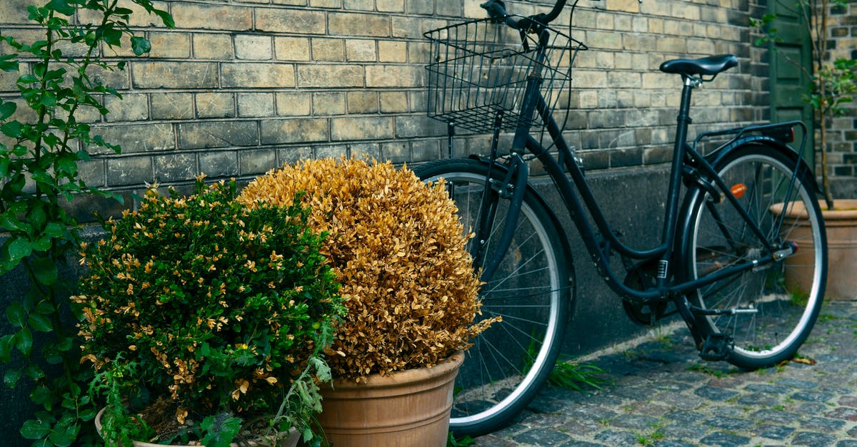 What are the candles outside in Denmark about? - Black Commuters Bike Near to Plant Pots