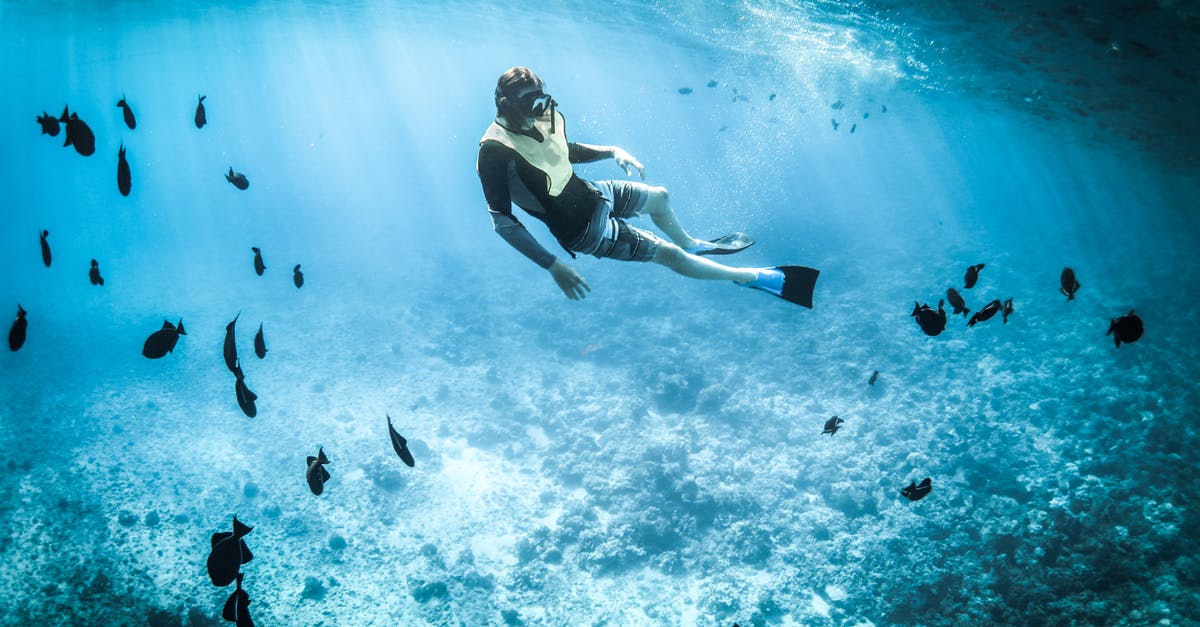 What are the most diverse places to go snorkeling in Hawaii for fish and coral? - Photo of a Person Snorkeling