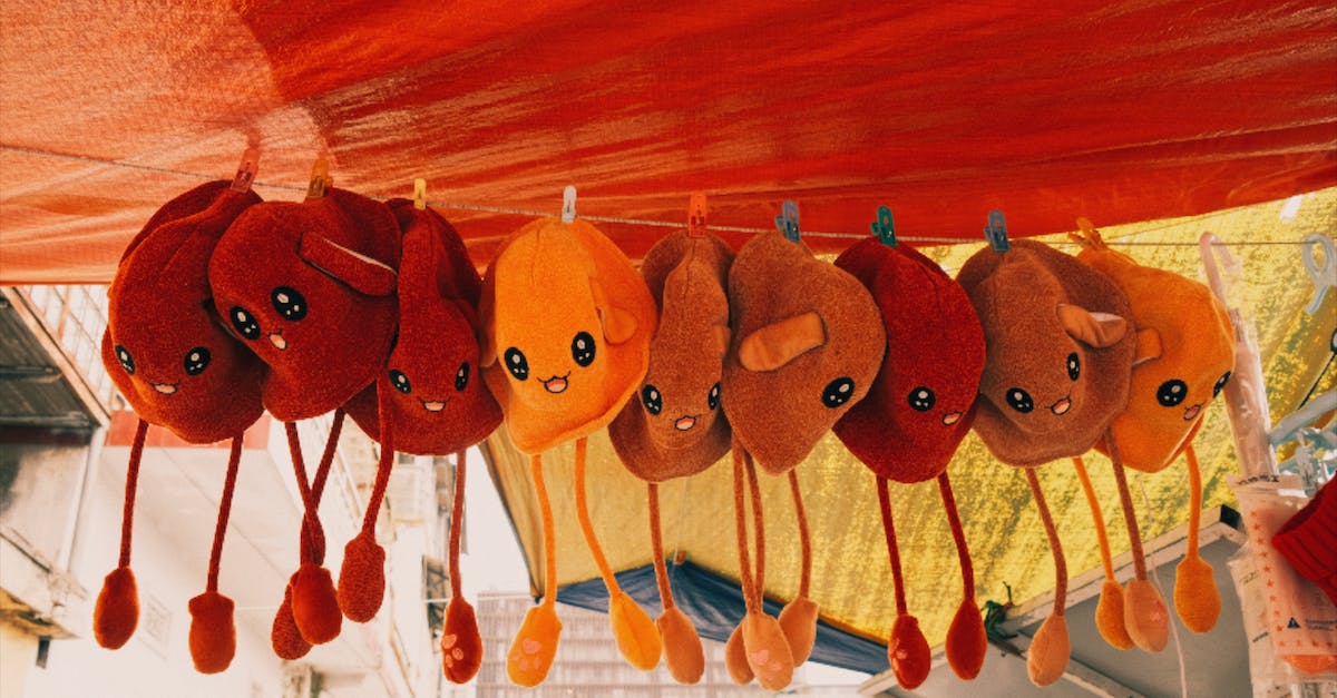 What are the must-buy souvenirs from Ireland? - Collection of hanging colorful toys in daytime