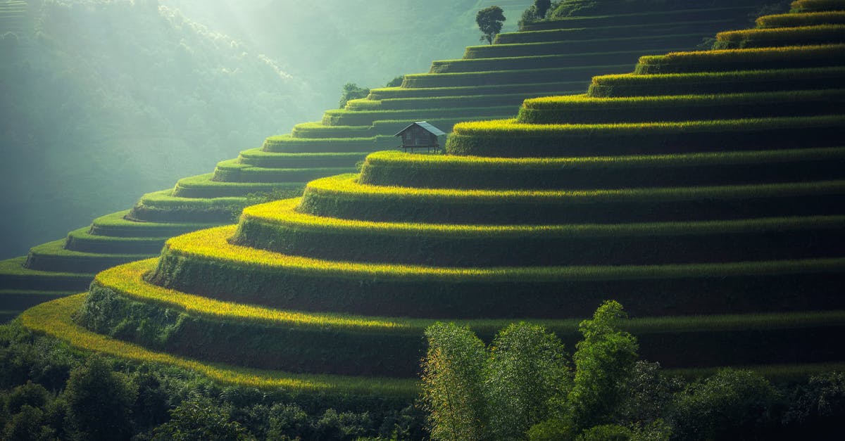 What are the remedies for land sickness? - Scenic View of Rice Paddy