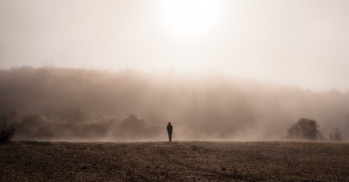 What are the requirements for a minor (16) traveling alone from Russia to the USA and back? - Silhouette Of Person Walking on Brown Field