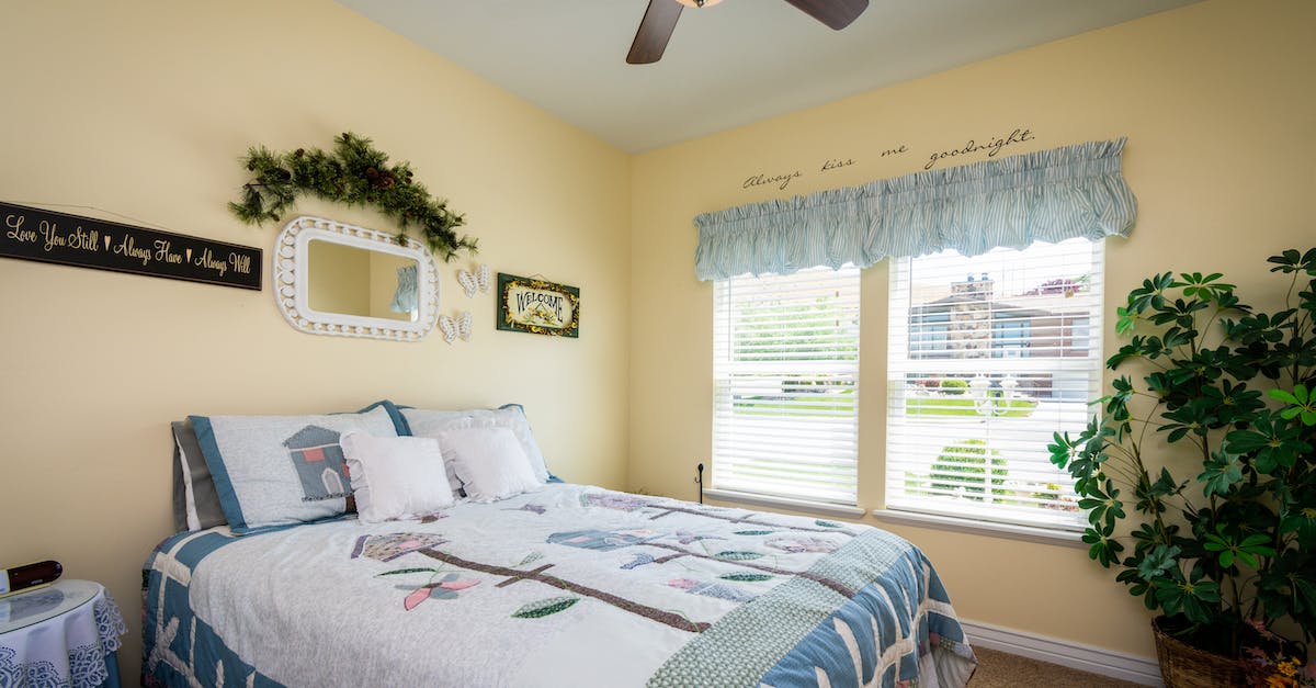 What are the signs of a bed bug infestation? - Ceiling Fan above a Bed