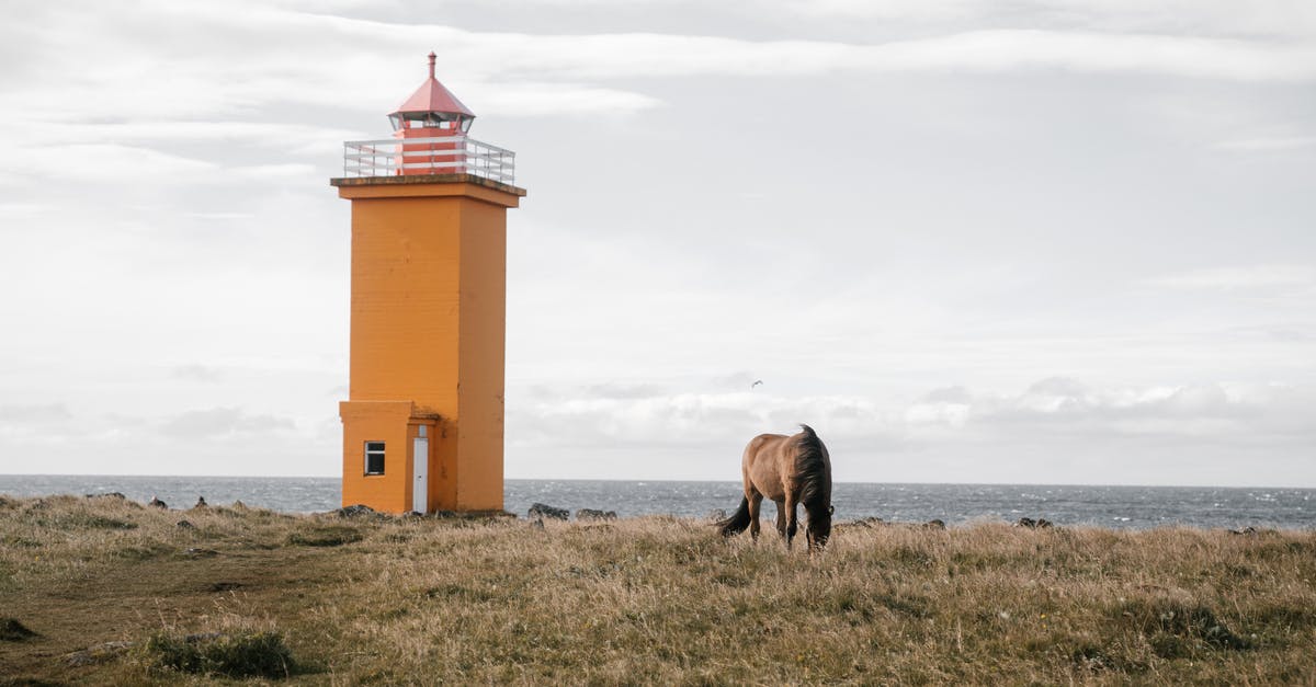 What are these brown boxes, found near the north-east coast of Japan used for? - Lonely buckskin horse grazing on withered grassy seashore near small orange lighthouse on dull overcast day What are these brown boxes, found near the north-east coast of Japan used for? - Lonely buckskin horse grazing on withered grassy seashore near small orange lighthouse on dull overcast day