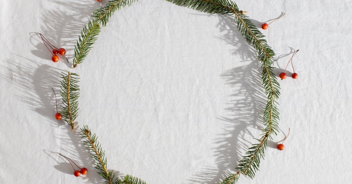 What are these small green rocket-shaped objects floating in the Danube? - Top view of fresh coniferous branches with red holly berries placed in round on white fabric