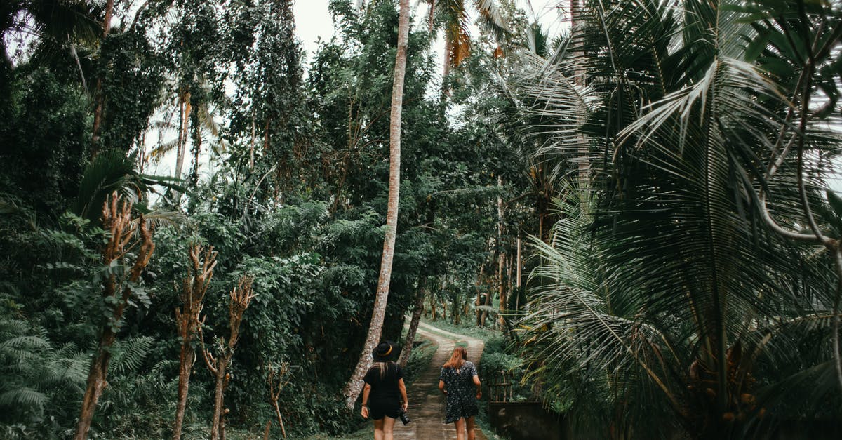 What campsites exist between Gaborone and Windhoek? - People Walking on Pathway Between Palm Trees