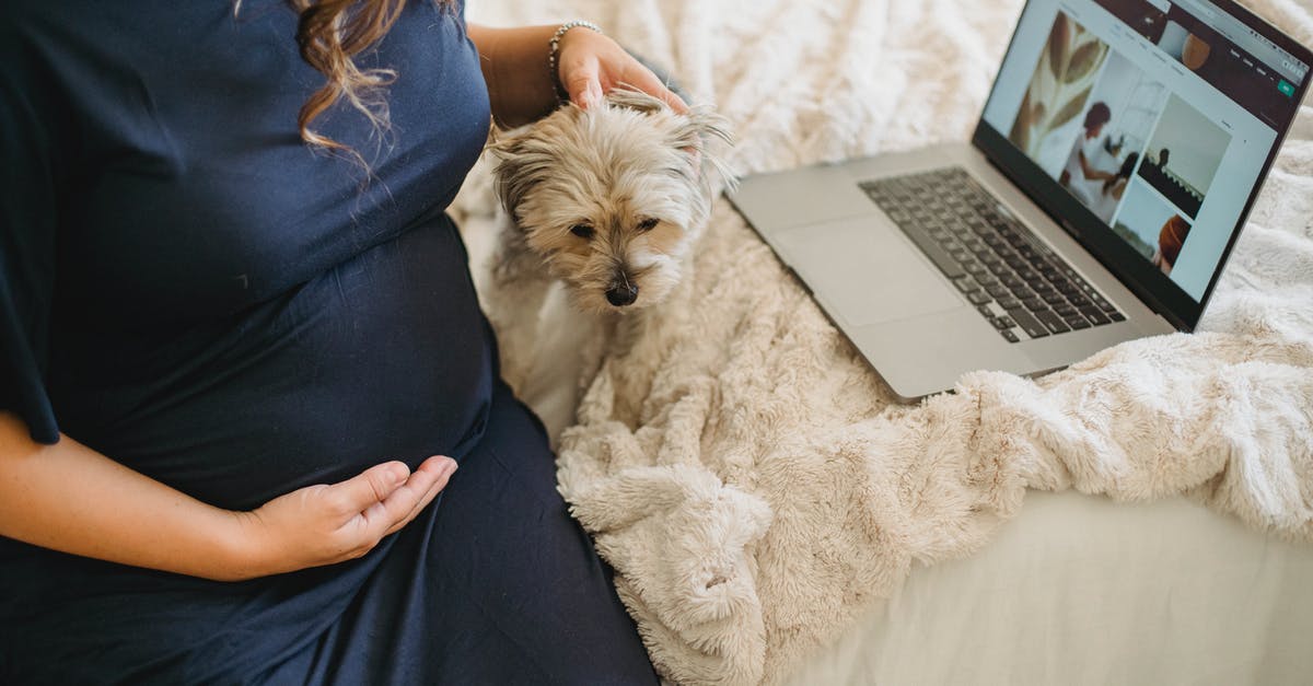 What can I expect when bringing in my netbook to China? - Crop pregnant woman stroking dog on bed with laptop