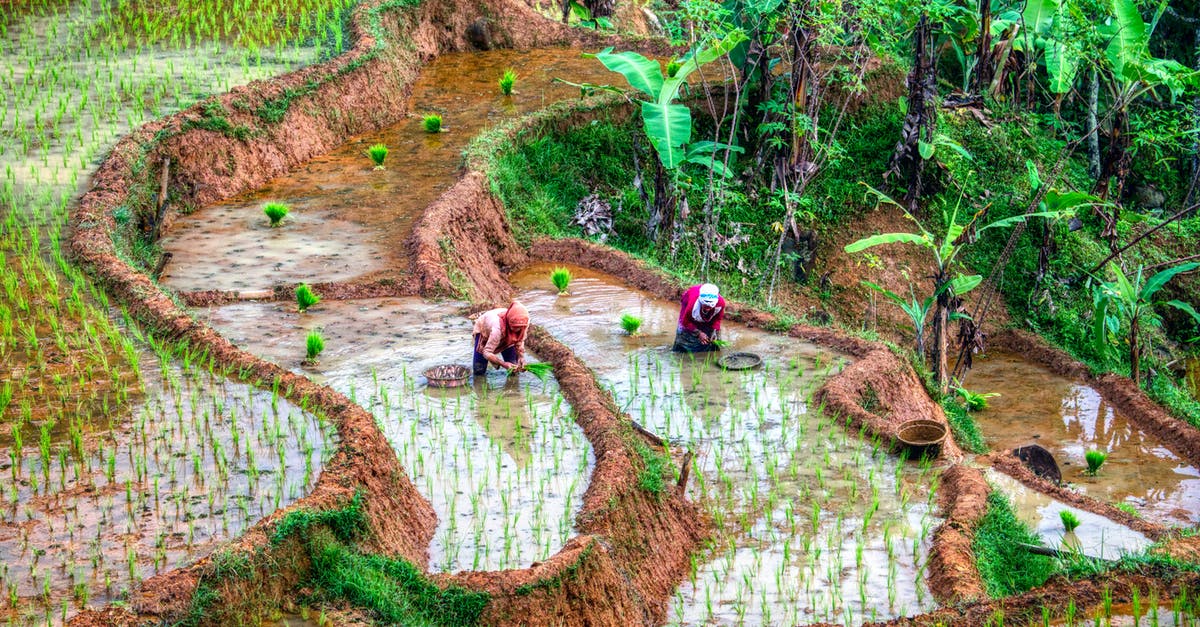 What counts as a tributary valley in Davos? - People on Green Grass Field