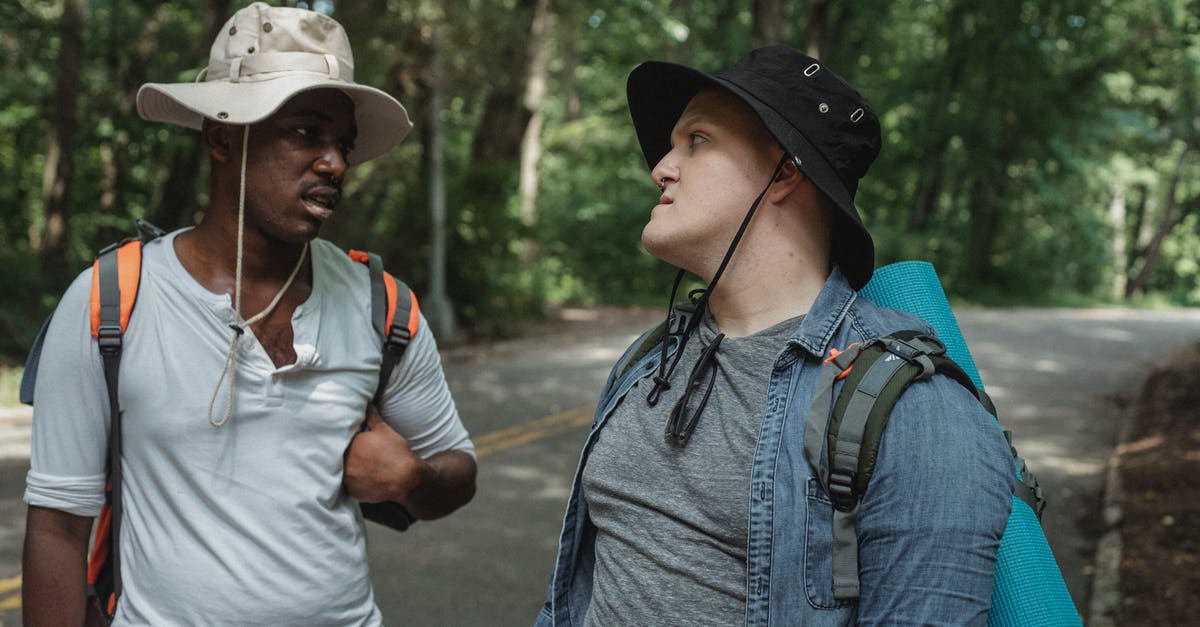 What dialect of Spanish do the locals speak in Panama City? - Young multiethnic backpackers in casual apparel looking at each other while speaking on countryside roadway near forest