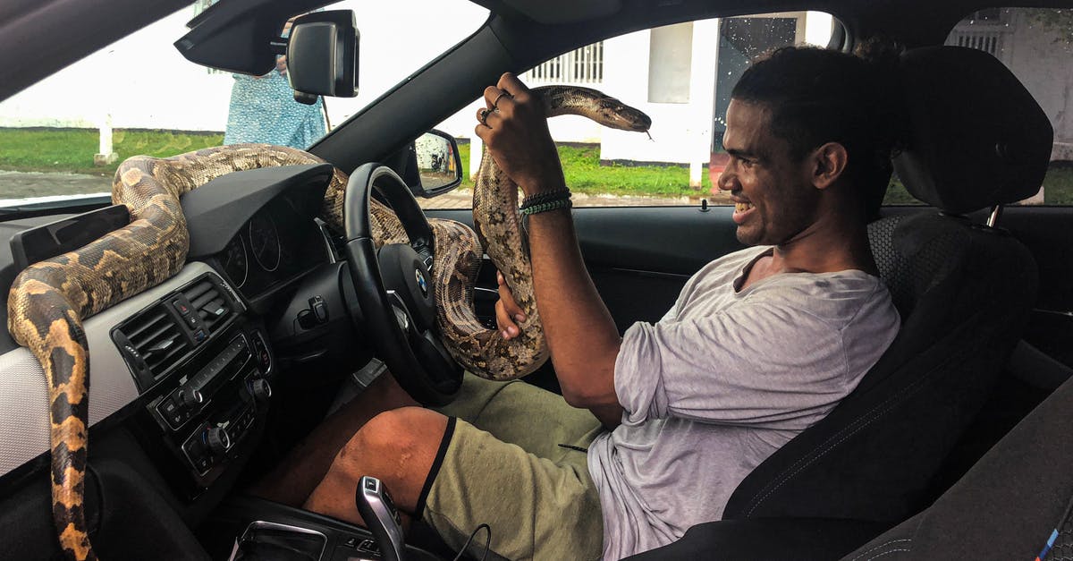 What does Russian border control use big logbooks for? - Side view of young African American man in casual clothes sitting behind wheel of car and holding huge Boa lying on dashboard of modern car on summer day