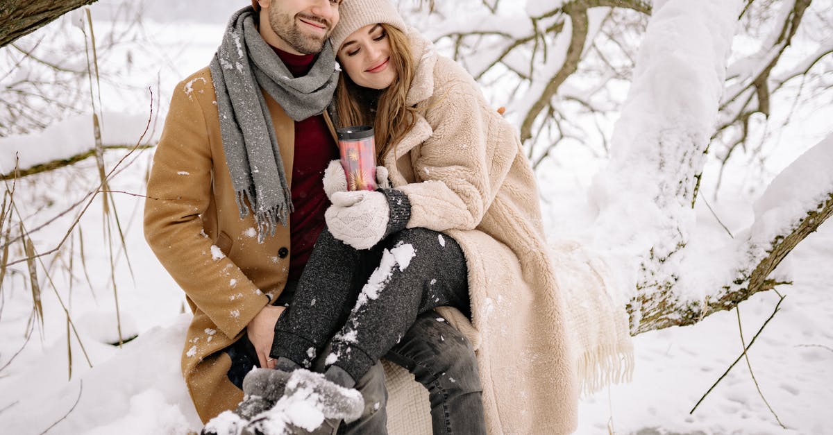 What does Ryanair do with airplanes in winter? [closed] - Free stock photo of christmas, cold, couple