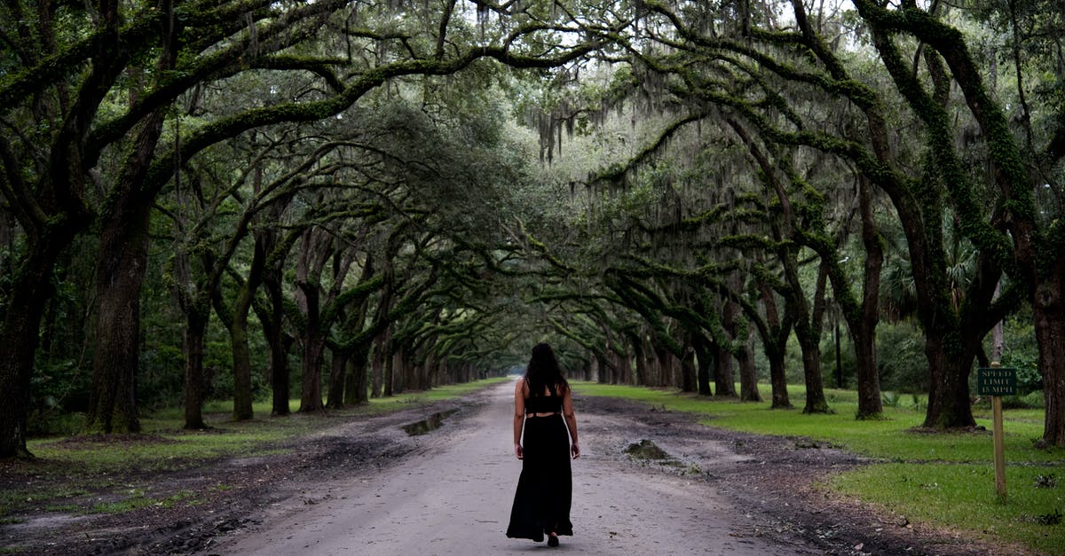 What federal reserve banks / branches can solo travelers visit? [closed] - Woman Standing in the Middle of the Forest