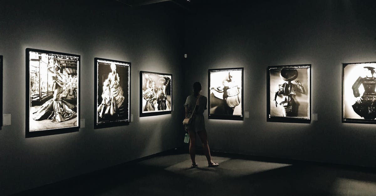 What gallery is Michelangelo's David in? - Woman in Black Dress Standing Near Wall