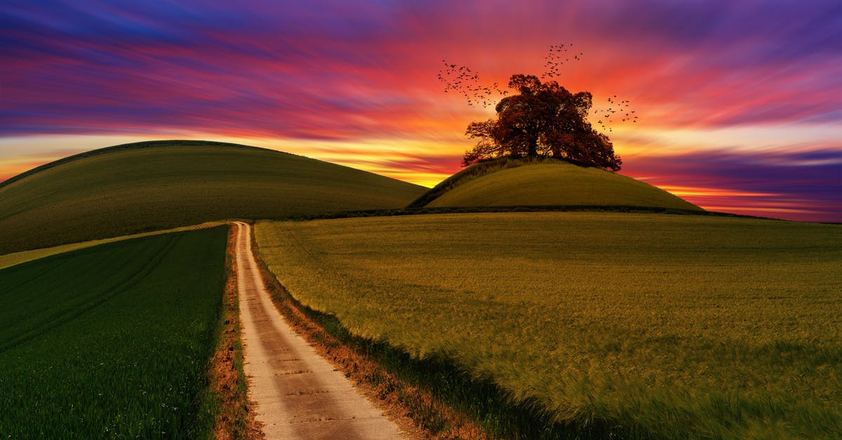 What if/Can a Schengen country decide to be visa-free to a country on its own? - Green Rice Field What if/Can a Schengen country decide to be visa-free to a country on its own? - Green Rice Field
