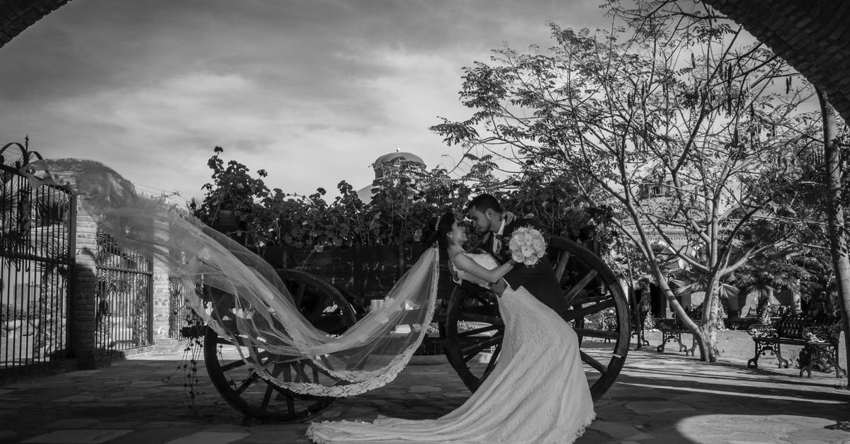 What is a married segment and how can I identify them? - Grayscale Photo of Couple Kissing on Sidewalk