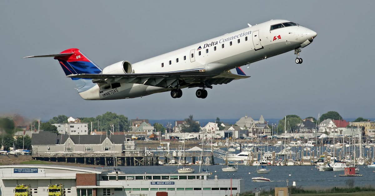 What is considered a "domestic flight" with Delta flights in North America? - Delta Airplane Takeoff on Runway 