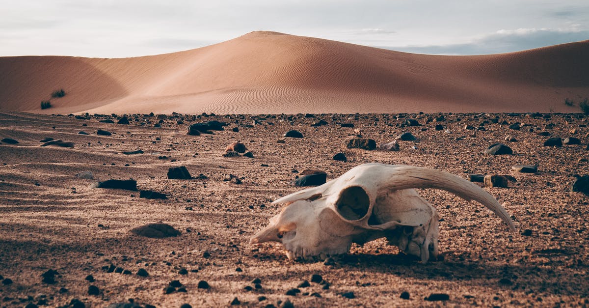 What is Dune Bashing? - Remnants on Desert