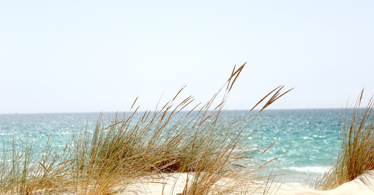 What is Dune Bashing? - Grass Beside the Sea