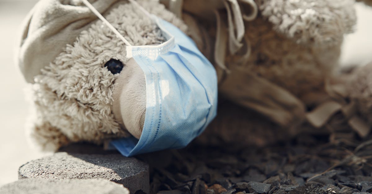 What is Social Cover in case of disease in France? [closed] - Cute plush toy in scarf and medical mask placed on ground near small sharp pebbles in street at daytime