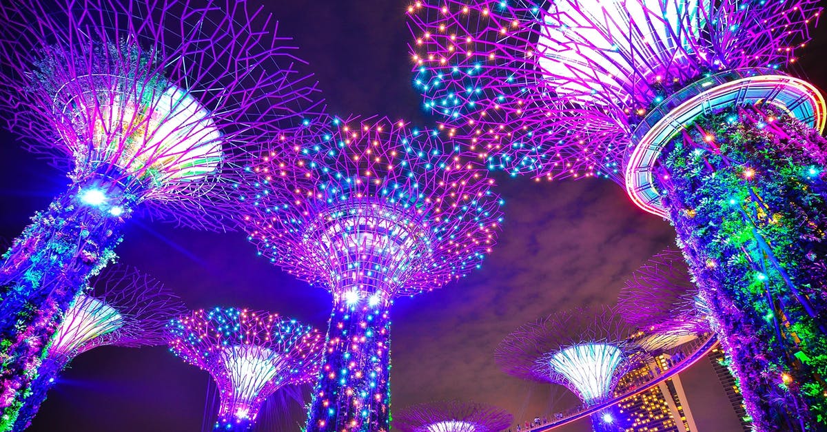 What is the bright light between Singapore and Tokyo? - Gardens by the Bay, Singapore