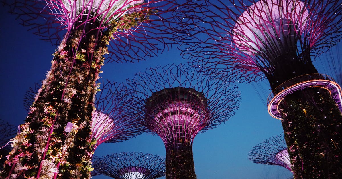 What is the bright light between Singapore and Tokyo? - Low-angle Photography of Gardens by the Bay